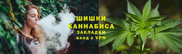 индика Белоозёрский